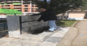11-03-2025